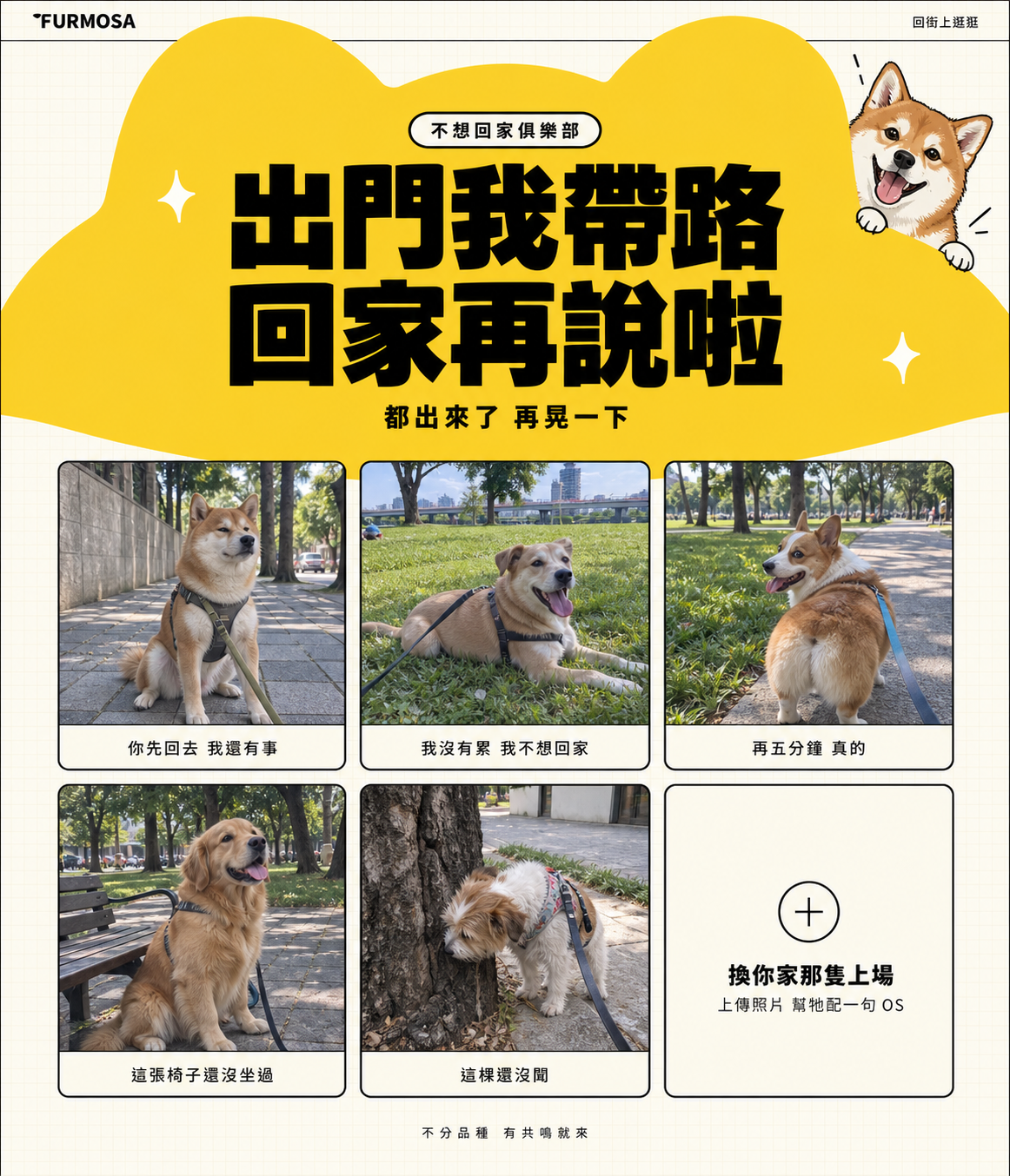 柴犬散步時坐在路邊的照片示意
